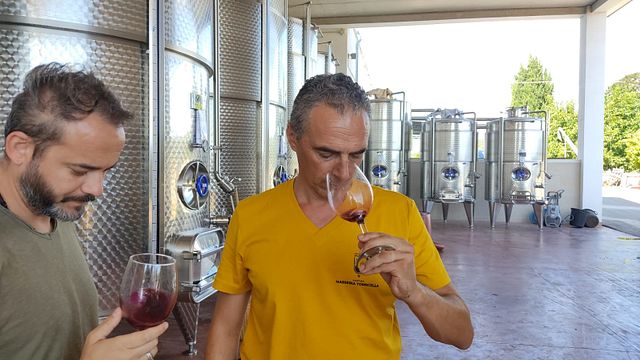 Esperienza enologica completa presso Masseria Torricella