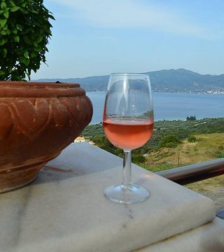 Vinprovning och rundtur på Vriniotis Winery
