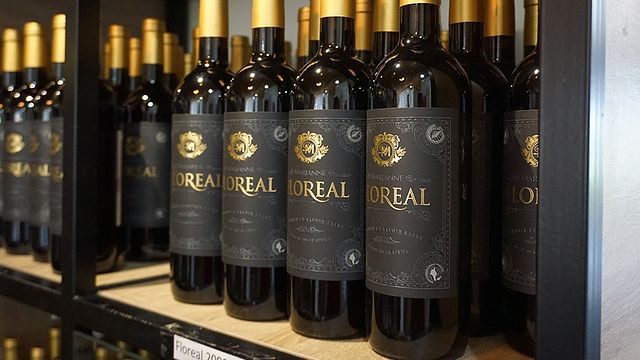 Abbinamento vino e biltong alla Marianne Wine Estate