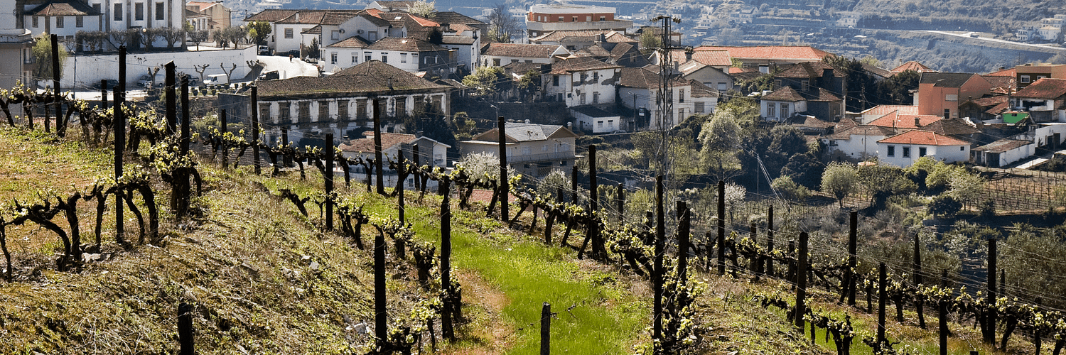 Peso Da Régua
