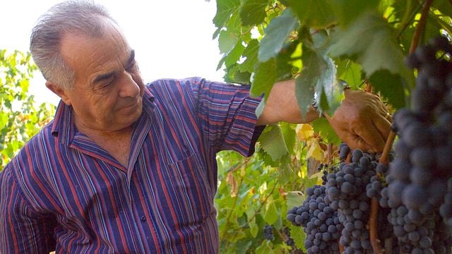 Degustazione e visita alle Cantine Santa Barbara
