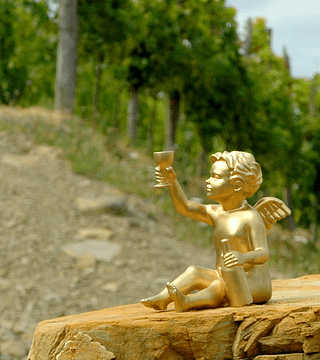 Dégustation de vins et visite de la cave Čarga