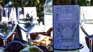 Prova e Tour de Vinhos Premium na Filipe Palhoça Vinhos