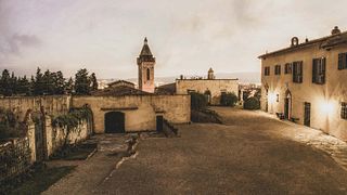Cata de vino y aceite de oliva