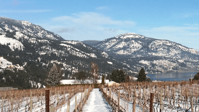 Rollingdale Winery