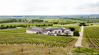 Weinprobe und Besichtigung in Disznókő