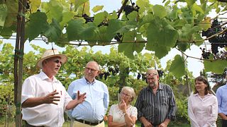 Tour in cantina con degustazione di vini e passeggiata audio a Vesterhave Vingaard