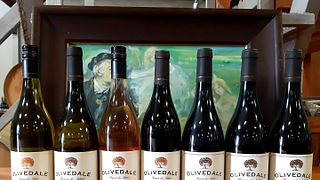 Olivedale Vineyards