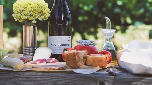 Pique-nique romantique dans le vignoble de Terra Remota : vin, nature et dîner pour deux