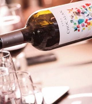 Dégustation de chocolat et de vin à Viña Chocalán