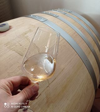 Barbera d'Asti vertikal: drei Jahrgänge, eine Reise durch die Zeit