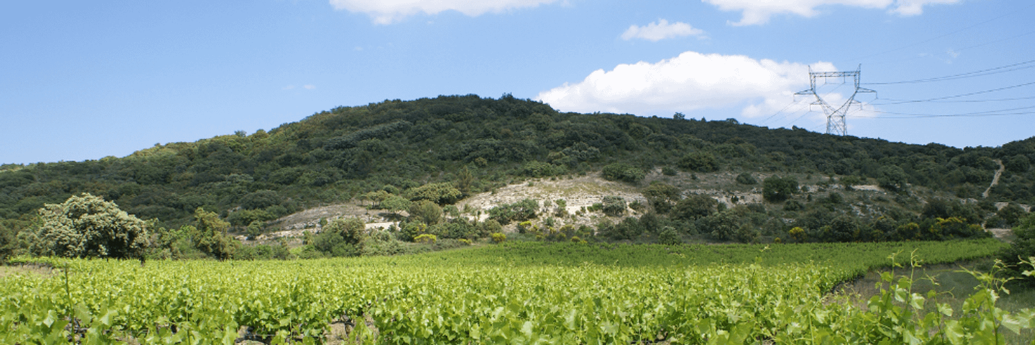 Côtes Du Roussillon-Villages