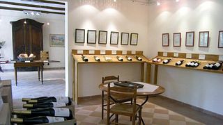Degustação de Vinhos e Tour no Château Saint Estève d'Uchaux