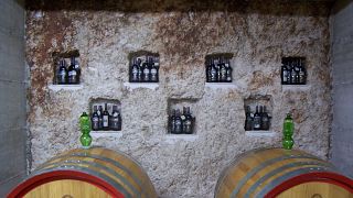 Degustación de vinos y recorrido en Petrera Pasquale Di Orfino Rosa