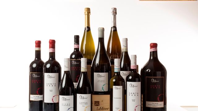 Dégustation de vins et visite à La Molara