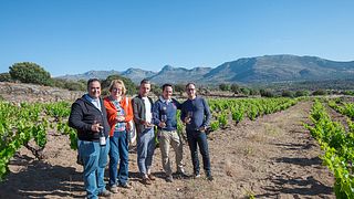 Wine Tasting and Tour at Bodega Nietos de Senora Maria