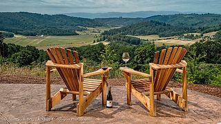 Cata de vinos y visita guiada en Youngberg Hill