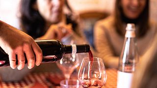 Discover Langhe Wines on a Scenic Tour near Barolo