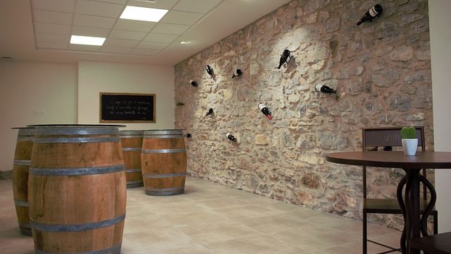 Weinprobe und Führung im Domaine Lérys