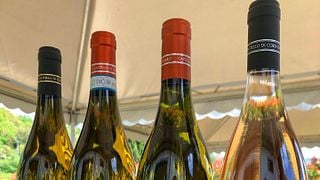A thousand hectares in a glass