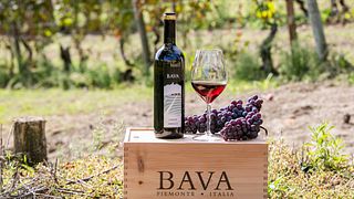 Cata de vinos populares y visita guiada en Cantine Bava