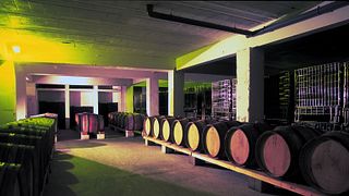 Visita guiada à adega e degustação de 3 vinhos Châteauneuf-du-Pape