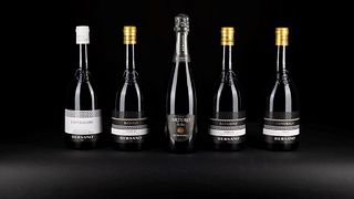 Piedmont Wine Journey: Bersano Tour & Tasting