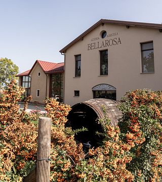 Cantina Puianello