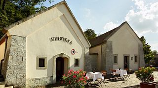 Degustação de vinhos e tour na vinícola Dereszla e no labirinto da adega
