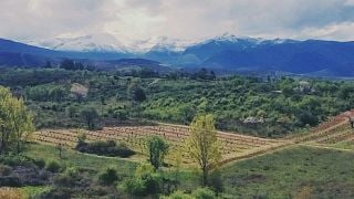 Cata y visita de vinos en Bodega Encima Wines
