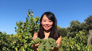 Wine Tasting and Tour at Château Haut-Blanville