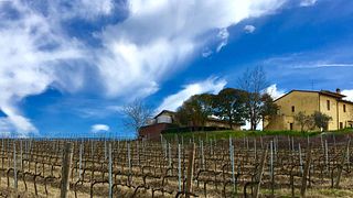 Weinprobe und Tour im Poggio al Chiuso