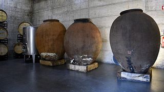 Premium-Wein- und Tapas-Erlebnis – Quinta João Clara