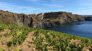 Terres des Templiers
