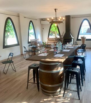 Privat vinprovning och rundtur på Finca Batllori