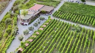 Sorrentino Vesuvio Winery