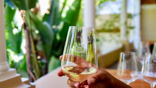 Weinprobe im PaardenKloof Estate