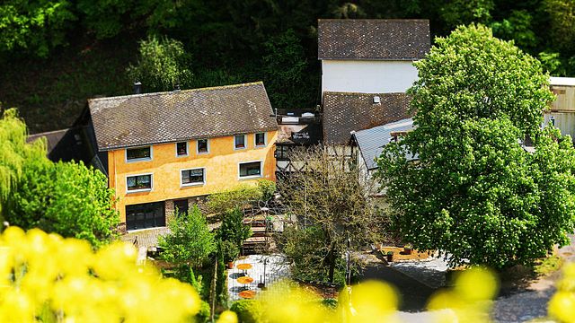 Degustazione di vini presso Weingut Philipps-Mühle