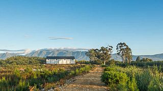 Degustação de vinhos íntima | Olivedale Wine Estate