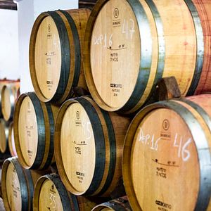 Séjournez à Monte do Pintor et profitez d'une visite personnelle de la cave et d'une dégustation de vin