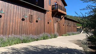 Dégustation de vins et visite du vignoble de Jericho Canyon