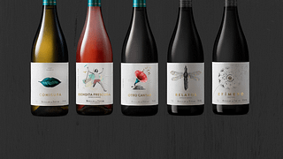 Degustazione di vini e visita alla Bodega Huellas del Tiétar