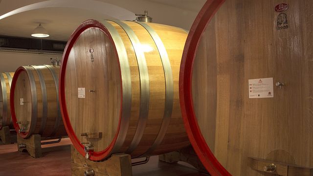 Visita in cantina e degustazione di vini presso l'azienda vinicola Magura