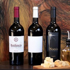 Dégustation de vins et visite du Clos De Tres Cantos