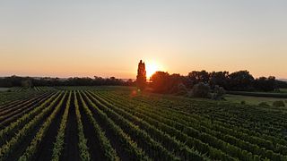 Weingut Kracher