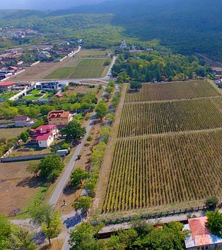 Degustazione di vini e tour popolari alla Velistsikhe Veranda