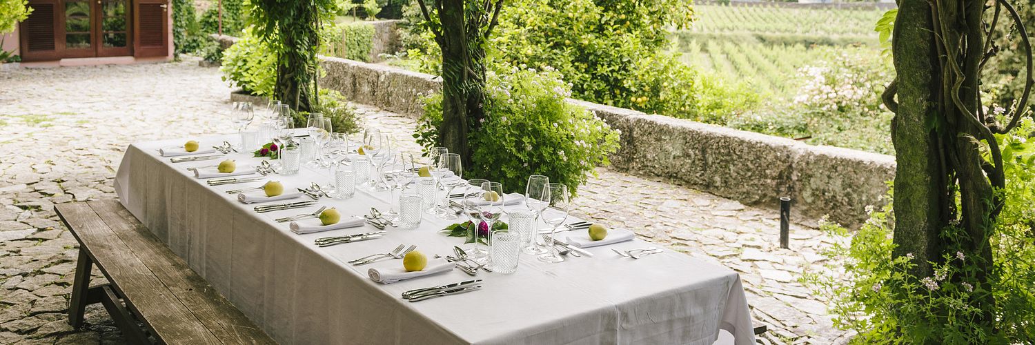 Quinta De Covela Saas