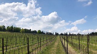 Montevecchio Isolani Winery