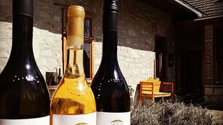 Upper Hungary Wine Delights at Karádi-Berger
