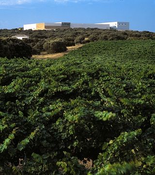 Un tour memorabile alla Finca Antigua per una degustazione di vini con le sue prelibatezze locali